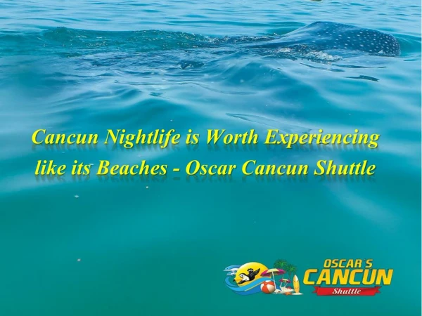 Cancun Nightlife is Worth Experiencing like its Beaches - Oscar Cancun Shuttle