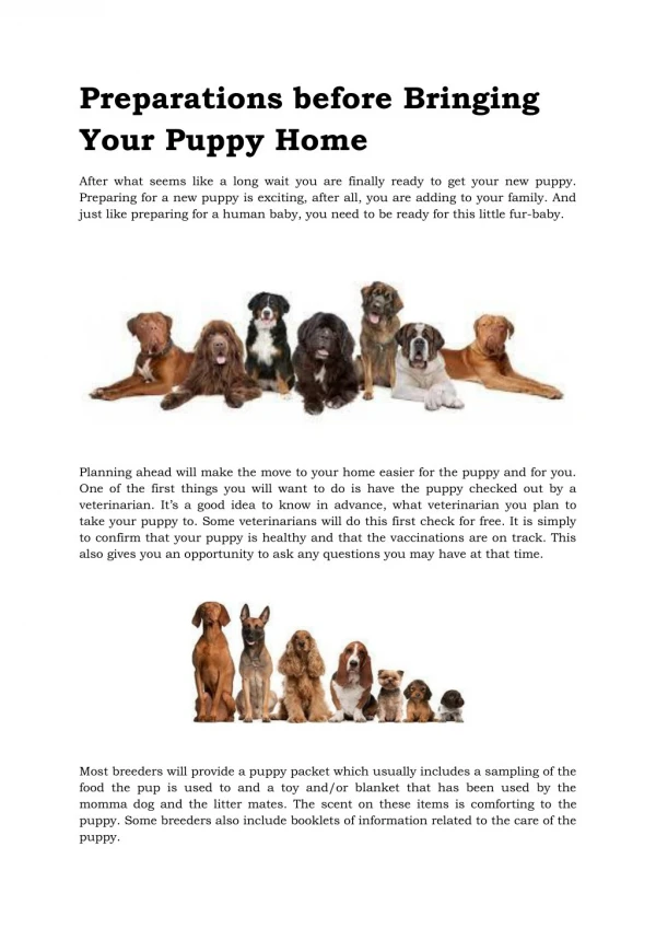 Preparations before Bringing Your Puppy Home