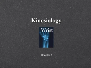 Kinesiology - slide 1