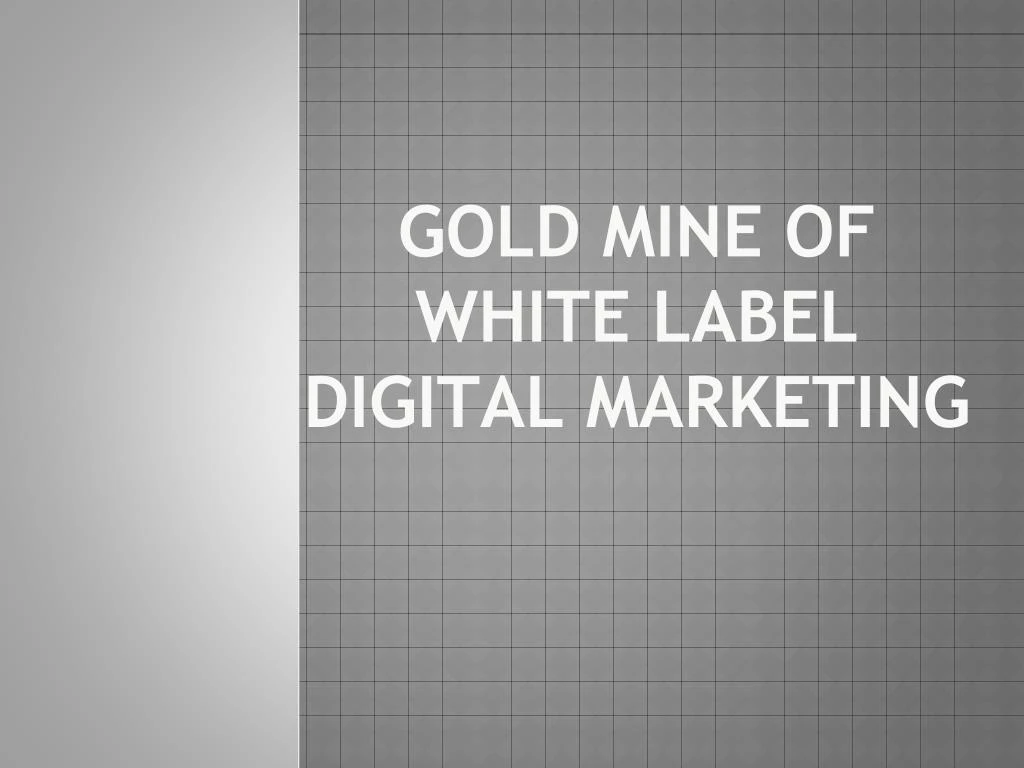 gold mine of white label digital marketing