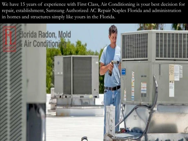 mold remediation in Naples