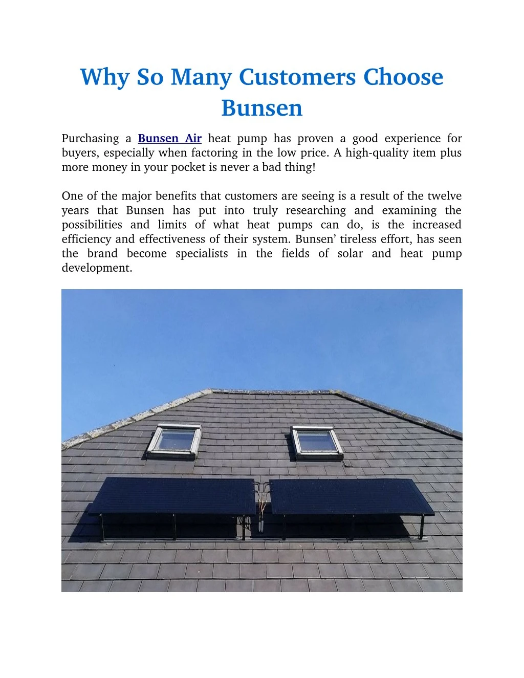 why so many customers choose bunsen