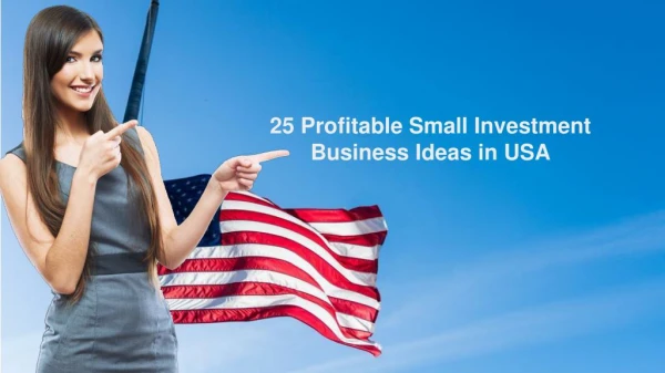 25 Profitable Small Investment Business Ideas in USA