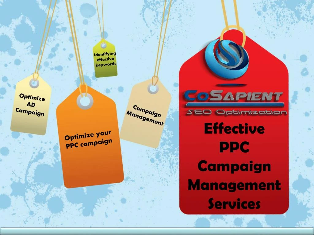 effective ppc campaign management services