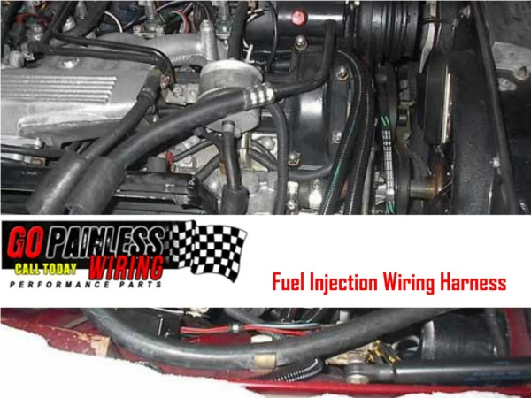 Fuel Injection Wiring Harness offered by Go Painless Wiring