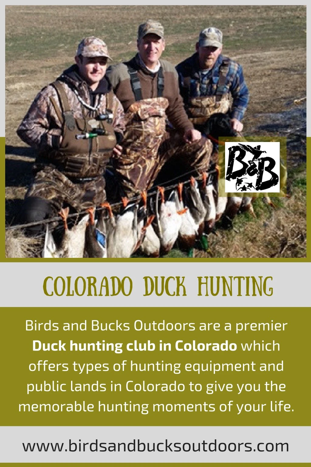 colorado duck hunting