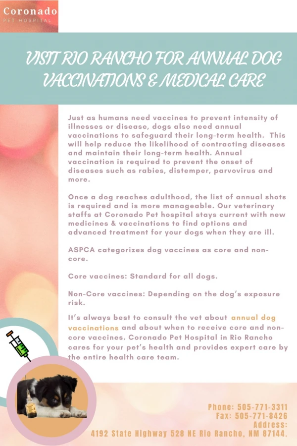 Visit Rio Rancho for Annual Dog Vaccinations & Medical Care