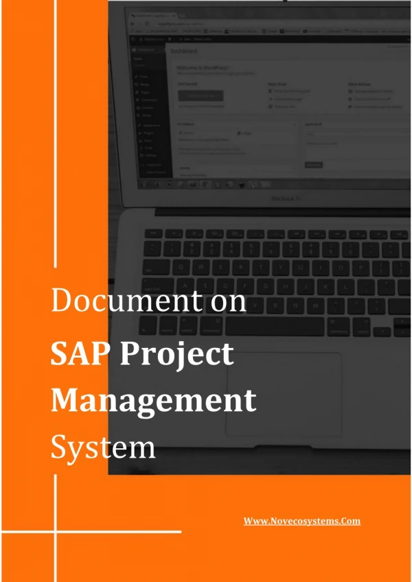 A Way to Transform the Use of SAP Project Management