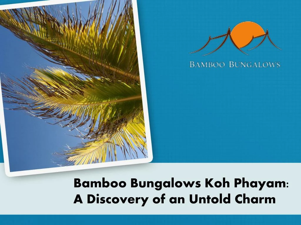 bamboo bungalows koh phayam a discovery