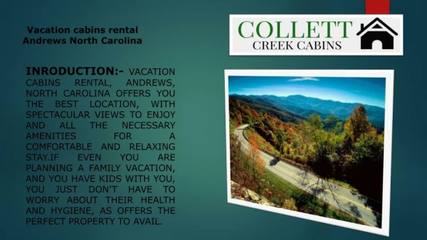 Vacation cabins rental Andrews North Carolina