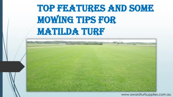 Top Features And Some Mowing Tips For Matilda Turf
