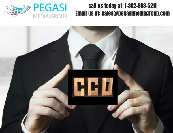 CCO Email Lists | CCO Mailing Lists in USA/UK/CANADA