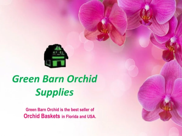 Orchid Baskets | Greenbarnorchid.com