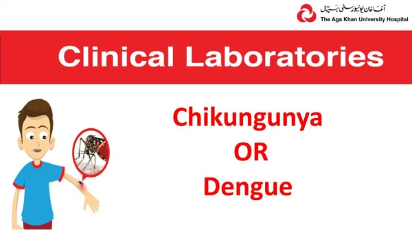 Chickungunya and Dengue