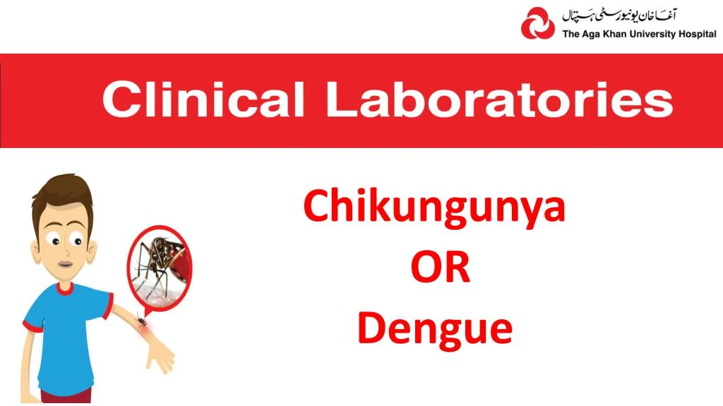 chikungunya or dengue