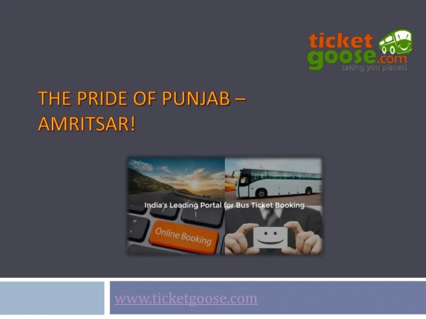 The Pride of Punjab – Amritsar!