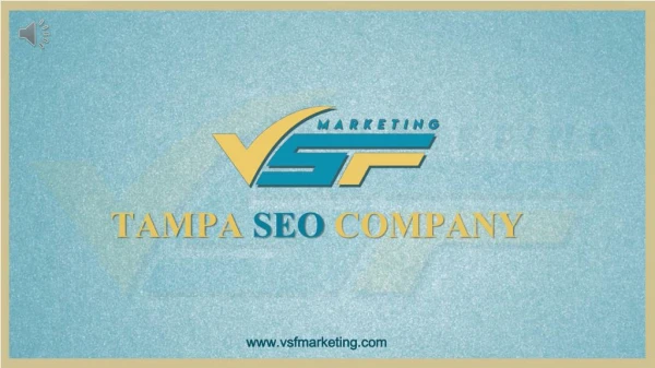 Tampa SEO Company - VSF MARKETING