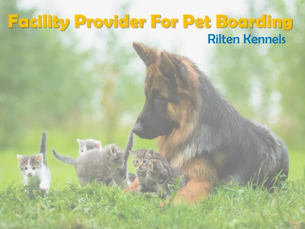 Best Pet Boarding - Rilten Kennels