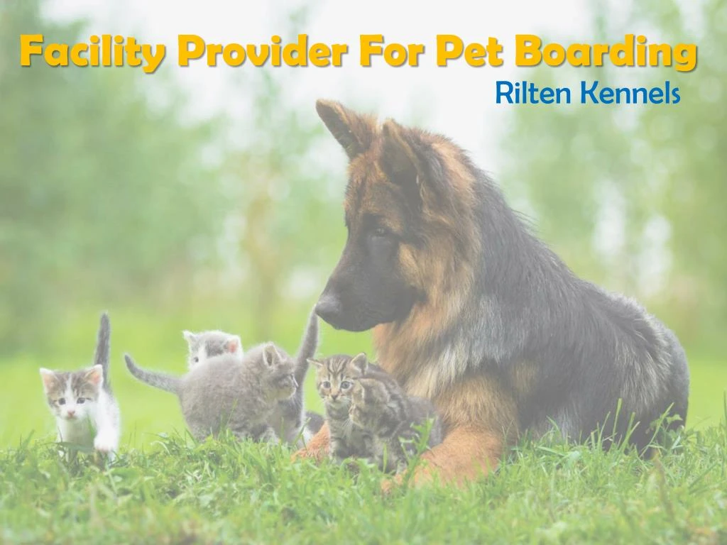 facility provider for pet boarding