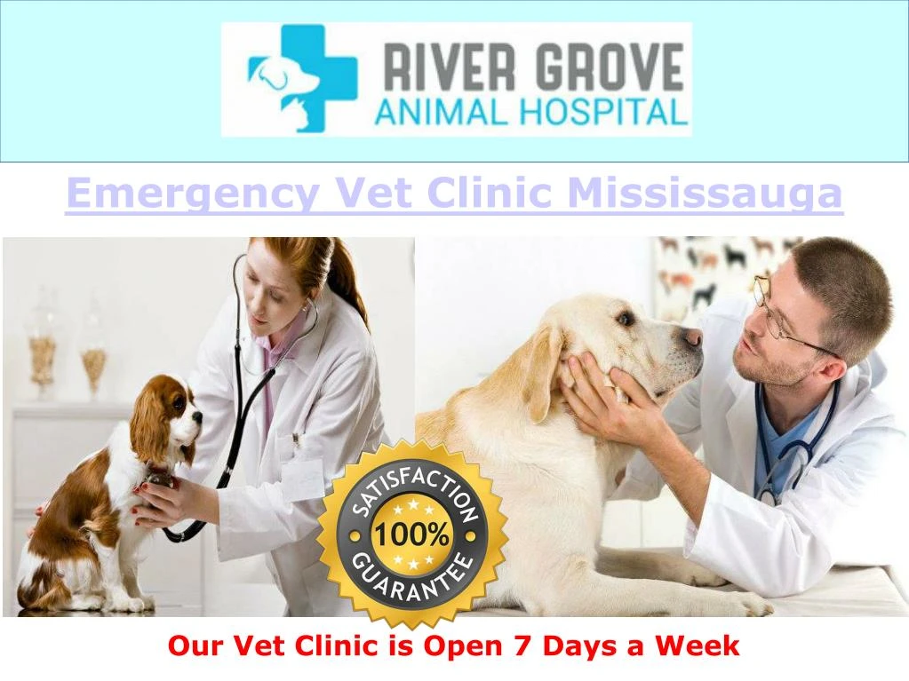 emergency vet clinic mississauga