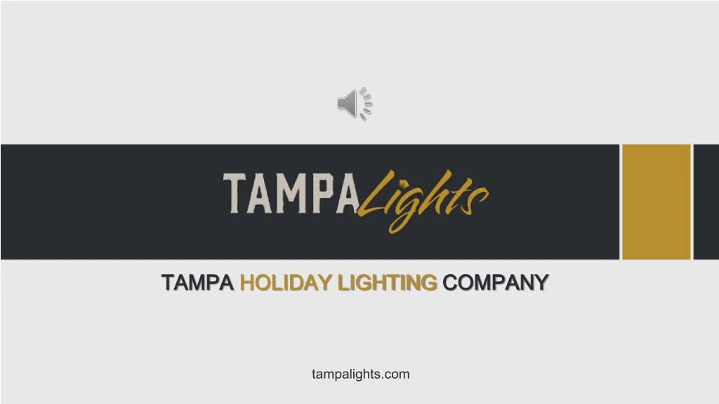 tampa holiday lighting company