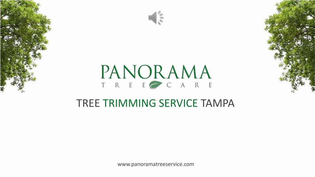 tree trimming service tampa