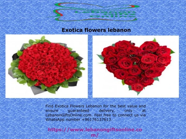 Exotica flowers lebanon