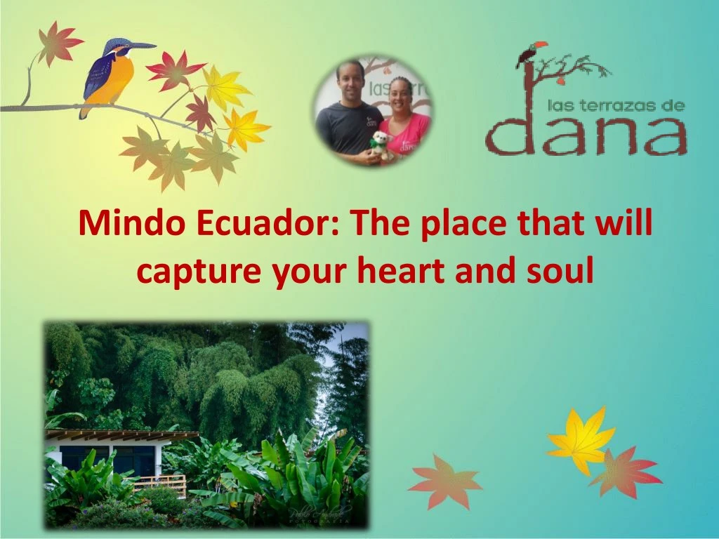 mindo ecuador the place that will capture your