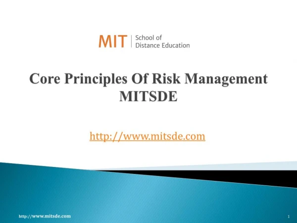 Core Principles Of Risk Management MIT School Of Distance Education