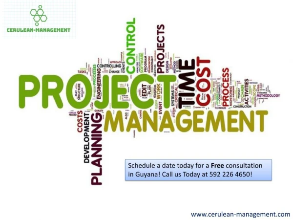 Project & Business Management Consultant | Guyana