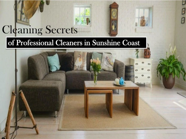 Need Professional Cleaner in Sunshine Coast