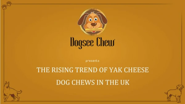 The Rising Trend of Yak Cheese Dog Chews in the UK