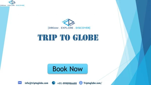 Book International Tour Packages At Best Price | TripToGlobe