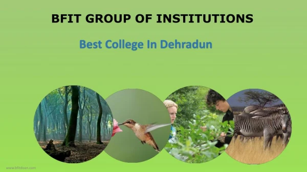 Bsc Forestry colleges dehradun