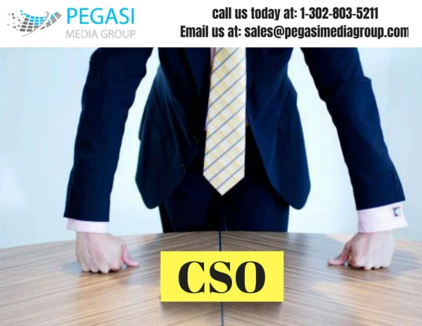 CSO Email Lists and Mailing Lists in USA/UK