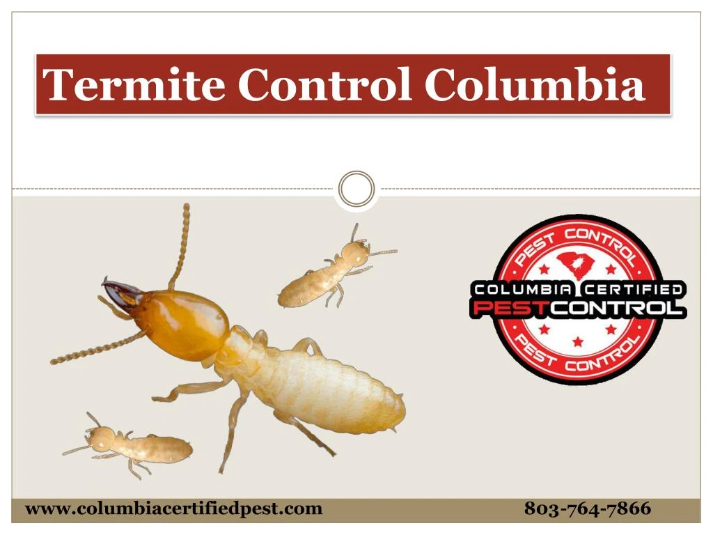 termite control columbia