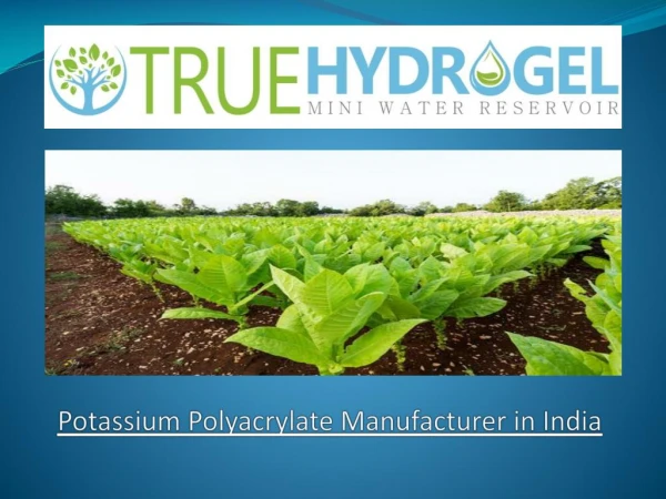 Potassium Polyacrylate Manufacturer in India