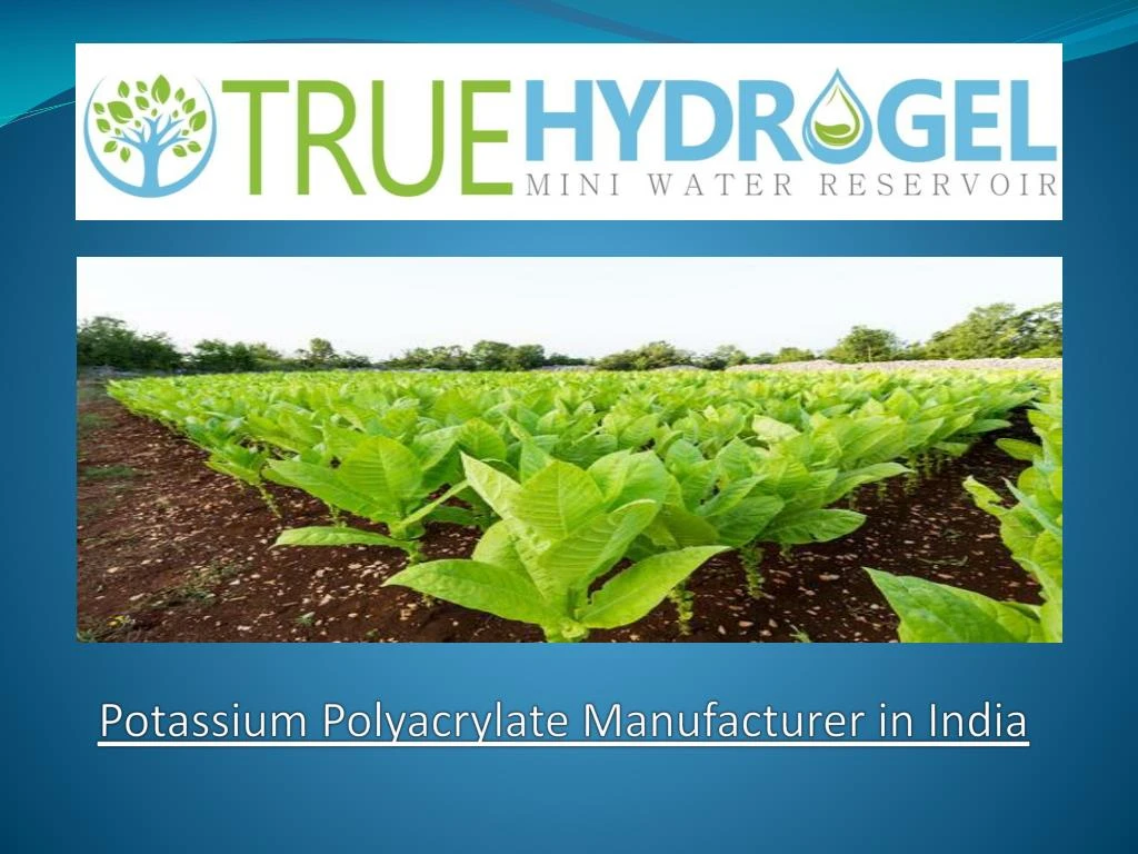 potassium polyacrylate manufacturer in india