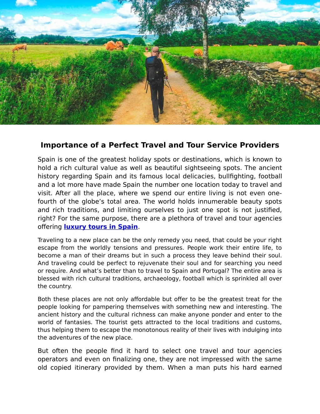 importance of a perfect travel and tour service