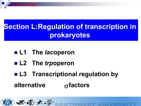 L1 The lac operon L2 The trp operon L3 Transcriptional regulation by alternative s factors