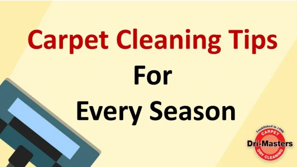 Carpet Cleaning Tips For Every Season