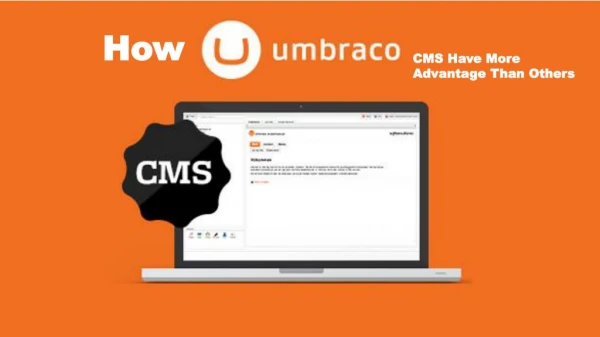 How Umbraco CMS Have More Advantage Than Others