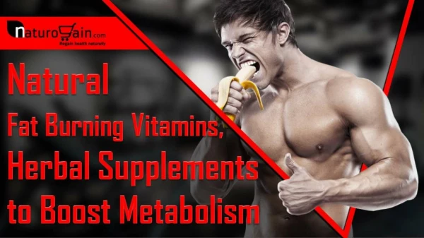 Herbal Vitamins to Boost Metabolism, Natural Supplements to Burn Fat