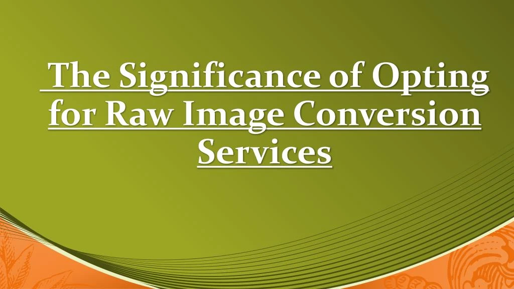 the significance of opting for raw image conversion services