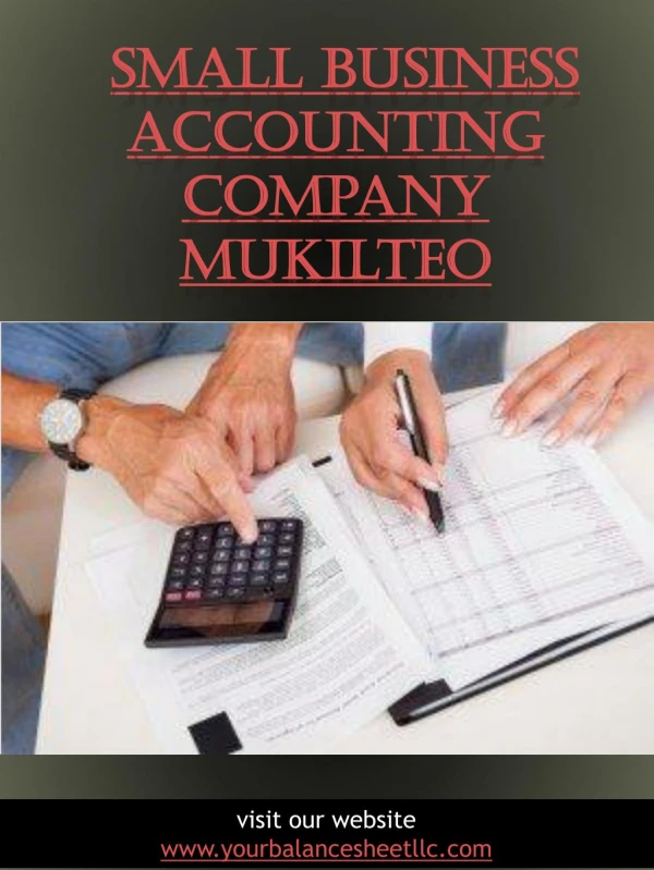 Small Business Accounting Company Mukilteo|https://yourbalancesheetllc.com/