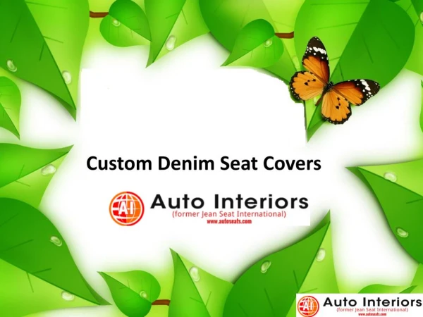 Custom Denim Seat Covers