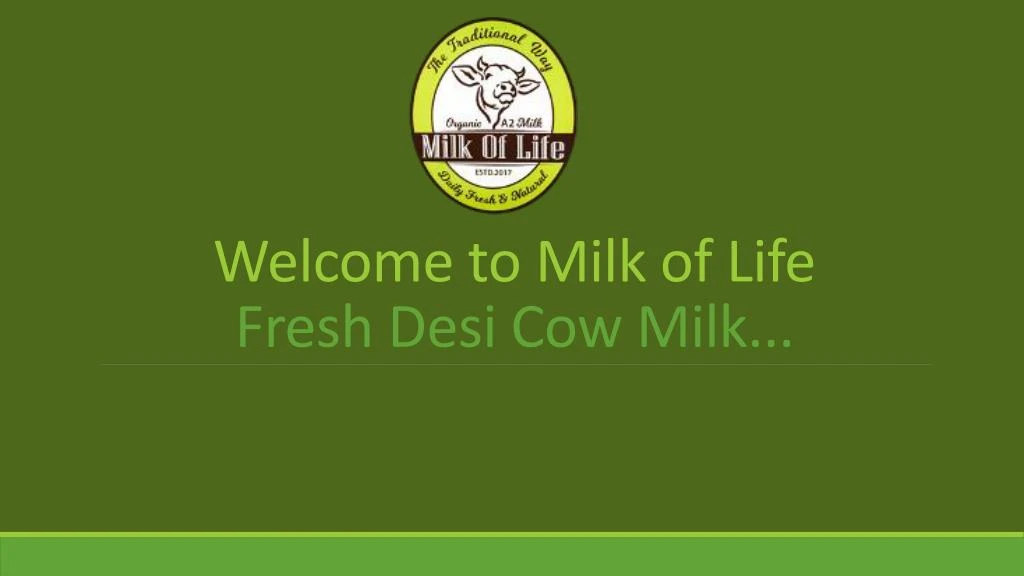 welcome to milk of life fresh desi cow milk