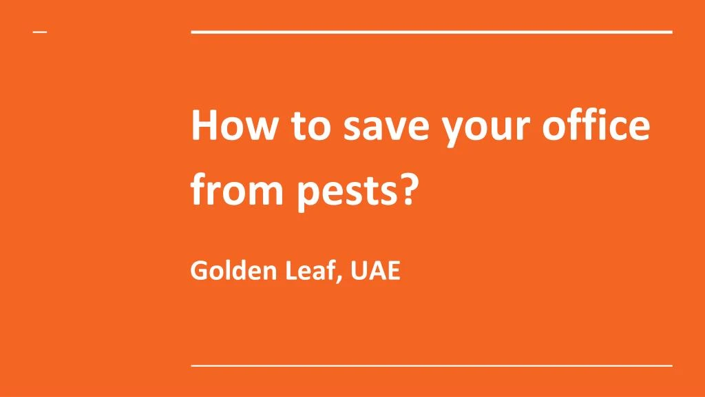 how to save your office from pests