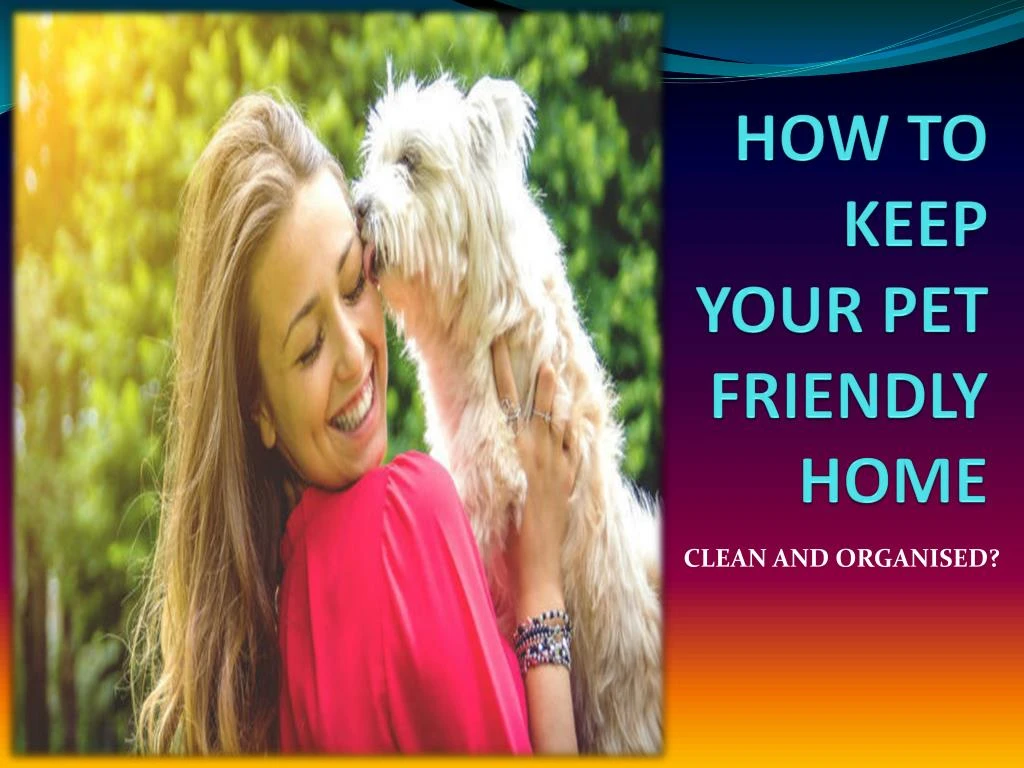 how to keep your pet friendly home