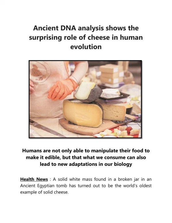 Ancient DNA Analysis Shows the Surprising Role of Cheese in Human Evolution